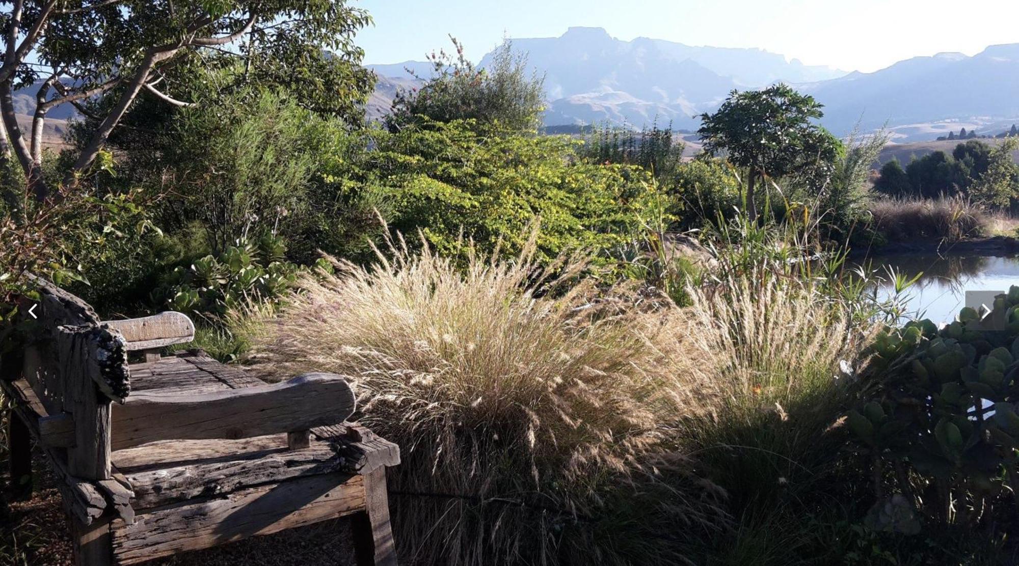 Ama Casa Cottages Champagne Valley Luaran gambar